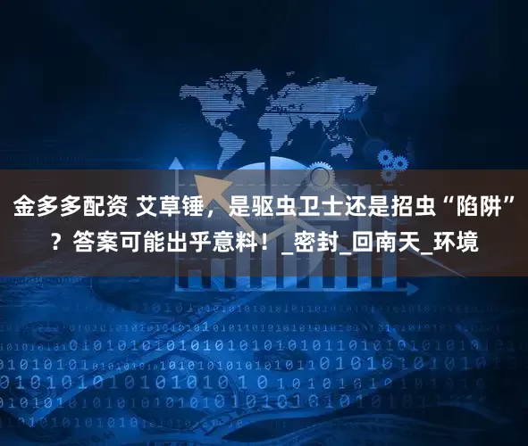 金多多配资 艾草锤，是驱虫卫士还是招虫“陷阱”？答案可能出乎意料！_密封_回南天_环境