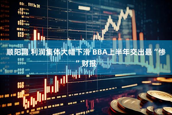 顺阳网 利润集体大幅下滑 BBA上半年交出最“惨”财报