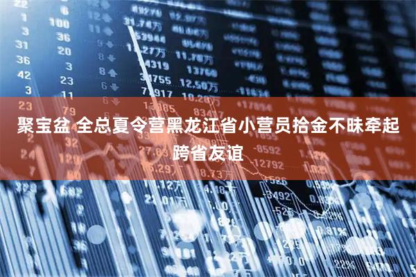 聚宝盆 全总夏令营黑龙江省小营员拾金不昧牵起跨省友谊