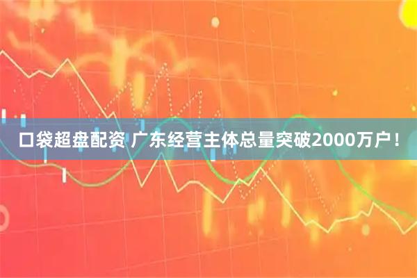 口袋超盘配资 广东经营主体总量突破2000万户！