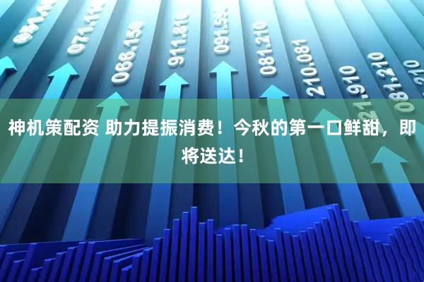 神机策配资 助力提振消费！今秋的第一口鲜甜，即将送达！