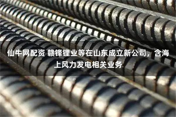 仙牛网配资 赣锋锂业等在山东成立新公司，含海上风力发电相关业务